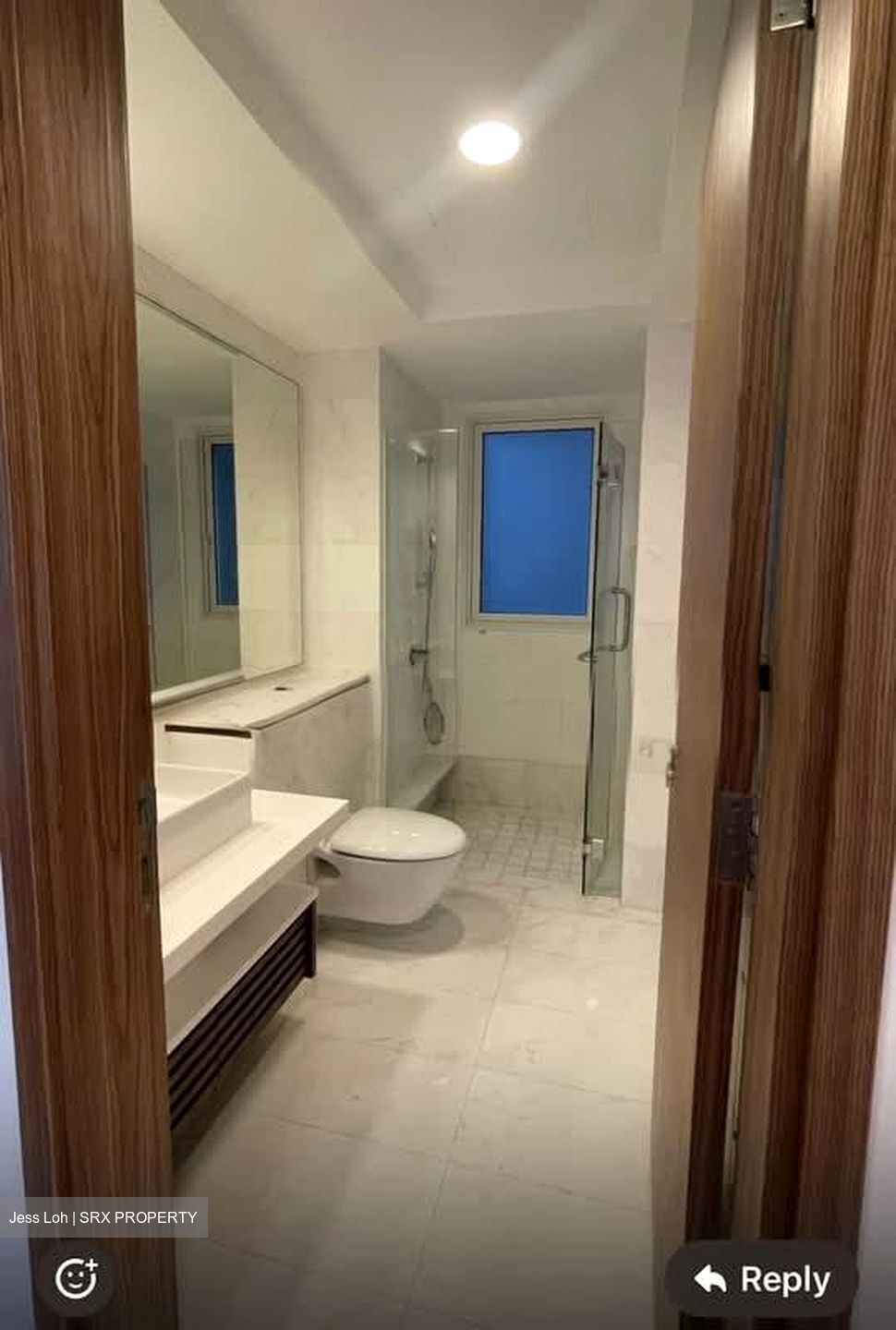 Suites At Orchard (D9), Apartment #574183871